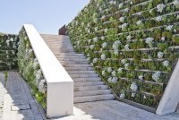 Вертикальное озеленение садовой лестницы