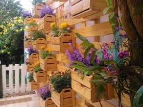 Вертикальное озеленение в деревянных ящиках