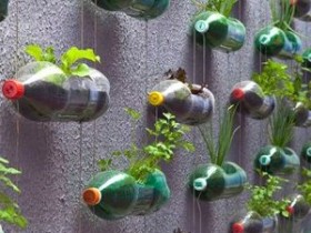 Вертикальное озеленение сада в пластмассовых бутылках