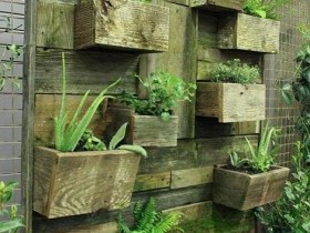 Вертикальное озеленение с помощью деревянных контейнеров