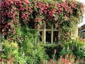 Озеленение дома в английском стиле
