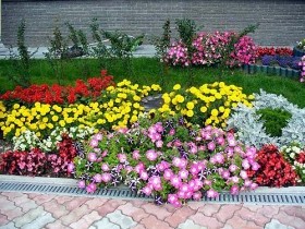 Фото примеры украшения цветника