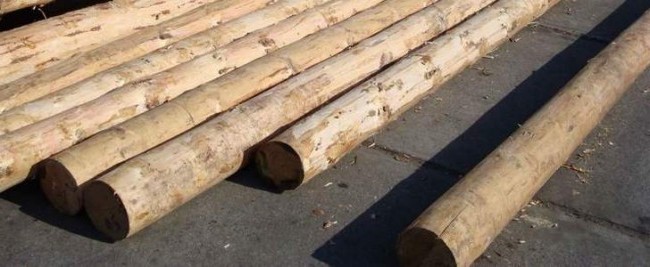 Защита древесины - залог долговечности