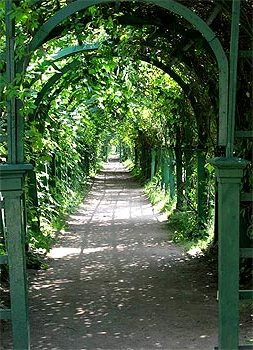 Зеленый коридор из пергол