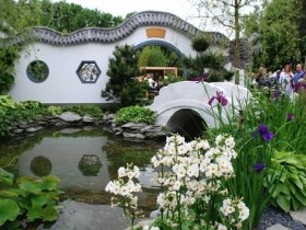Дизайн китайского сада