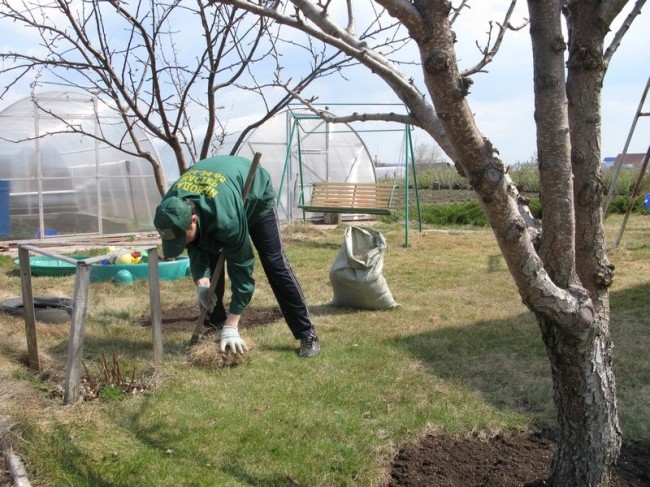  Подготовка земной поверхности: очистка от садового мусора и камней