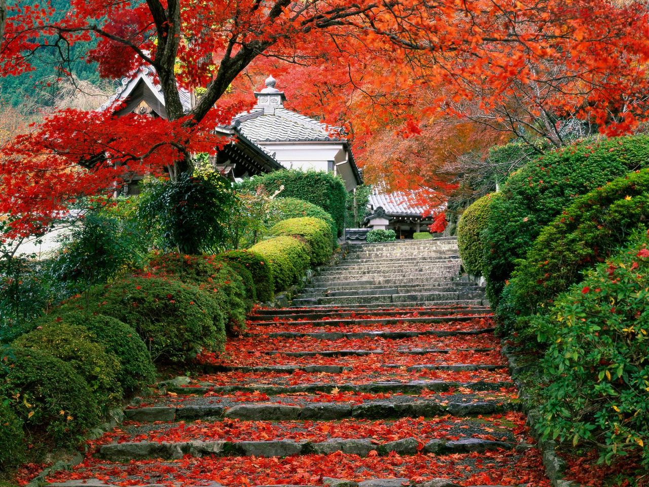 Садовая лестница для романтического сада
