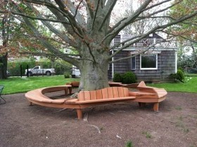 Скамейка вокруг дерева в саду