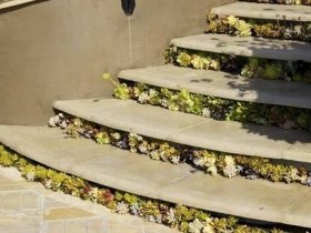 Бетонная садовая лестница с цветами